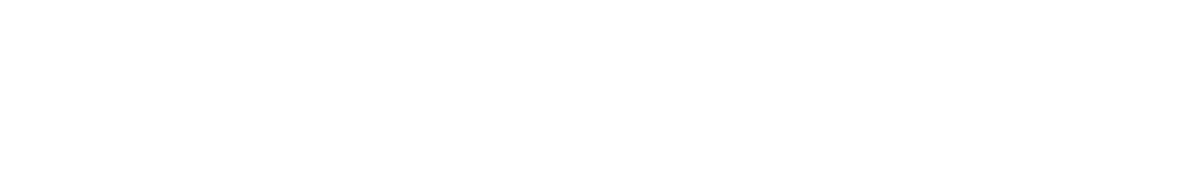 Brandscope B2B logo